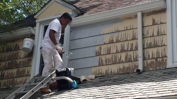 Nice Pro Carpet Cleaning