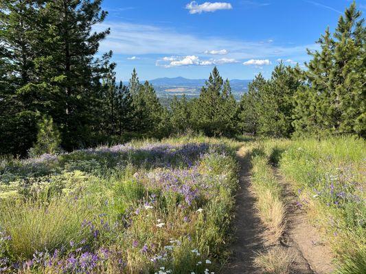 Dishman Hills Natural Area