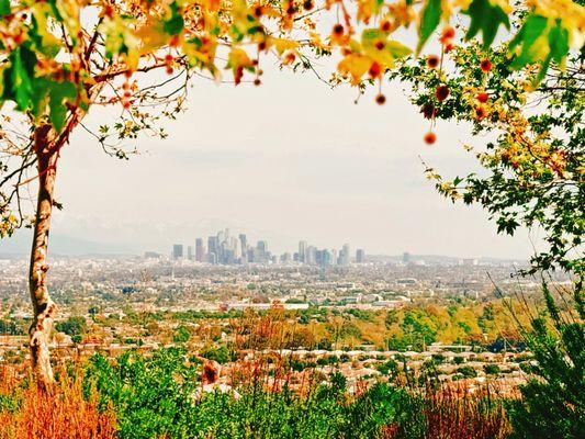 Baldwin Hills Scenic Overlook