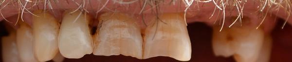 Lauren R Friedman, DDS