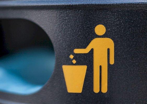 Trash, Grass and Snow