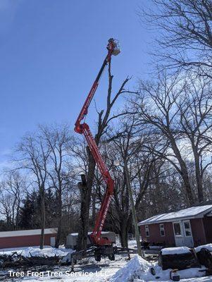 Tree Frog Tree Service