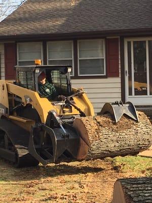 Accurate Tree Service