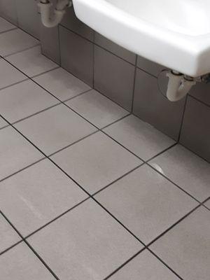 D & B Janitorial Cleaning Services