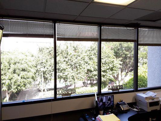 Classified Auto Insurance Services