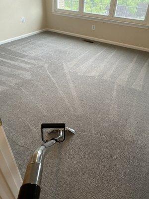Fun carpet cleaning job in Alexandria, VA.