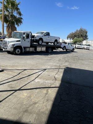 Cornejo's Auto Trasport