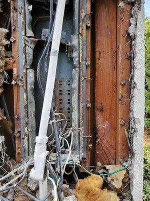 Original Panel Location