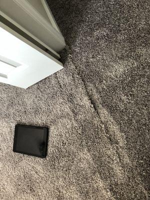 DS Home Cleaning and Repair