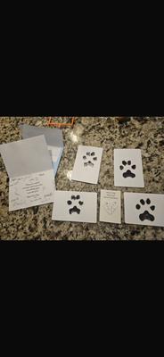 Animal Care Clinic