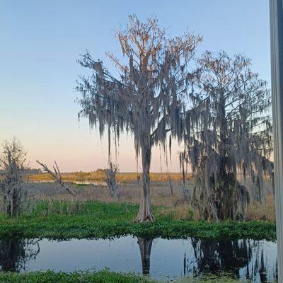 Georgie's Lakeside Restaurant & Lounge