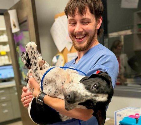 Queen City Animal Hospital