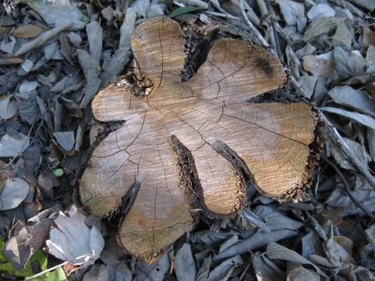 Convict Hill Quarry Park
