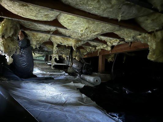 High Five Pest Control