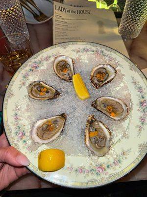 Half dozen oysters