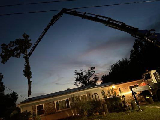 Stump Depot Tree Service