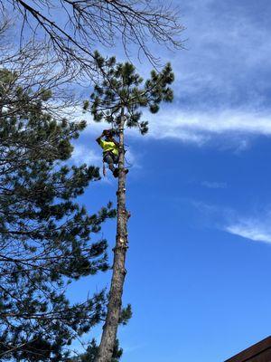 Acropolis Outdoor Services