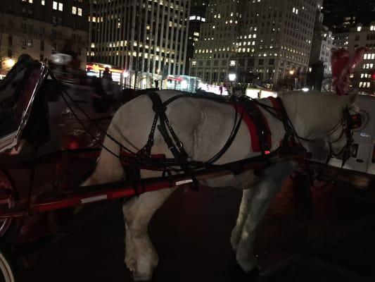 All Around Central Park Pedicab Tours