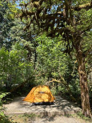 Clear Creek Campground