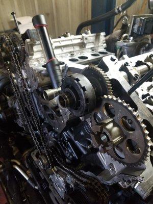 eco diesel head gaskets