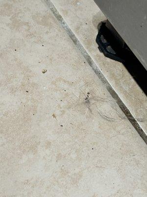 Spivey Cleaning Services