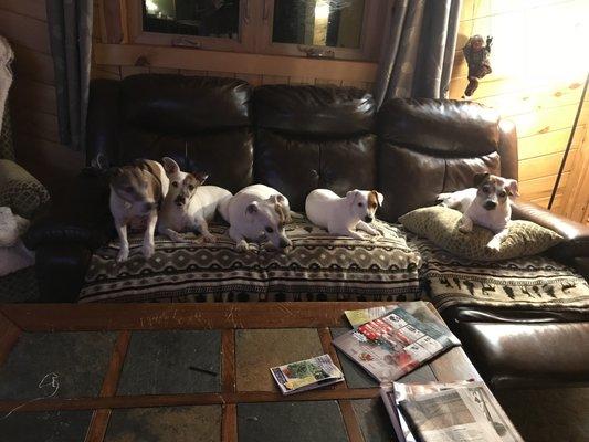 Bella, Georgie, Louis, Freija, Jimmy
Thank you Dr. Shirley and team.