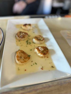 Scallops