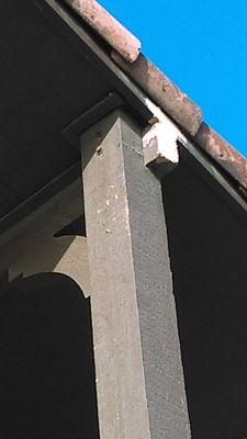 Do My Termite Control