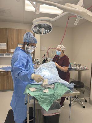 We offer various surgical services such as routine and emergency soft tissue surgery and orthopedic surgeries.