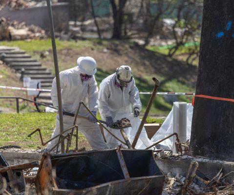 Alliance Environmental Group