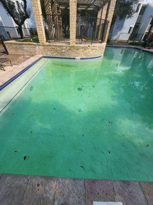 Disgusting green, water. The pool has alot of sand. It was not drained this year so it's the same pee water from last year.