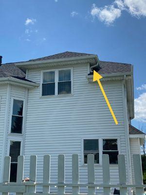 One way exit for bats