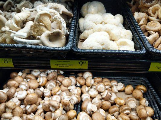 Note the rare lion's mane mushrooms in the upper right-hand side