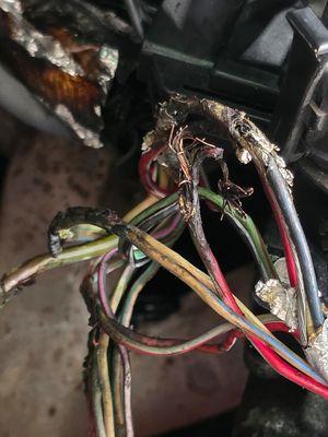 Well there's yer problem