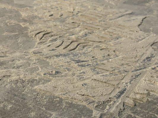 Peniel Environmental