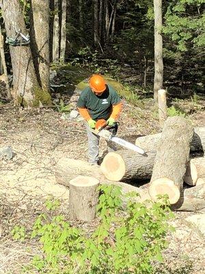 Orozco Tree Service & Landscaping