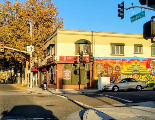 Flores Professional Services