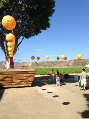 The Great Park Conservancy