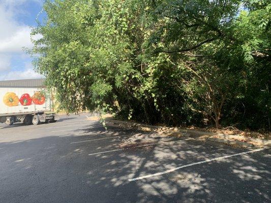 JDL Landscape Designs