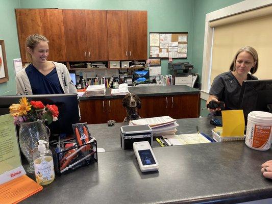 Los Robles Animal Hospital