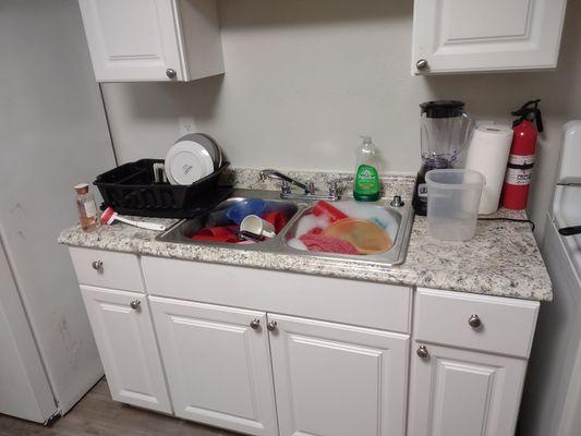 Amy's Squeaky Clean-Cleaning Services