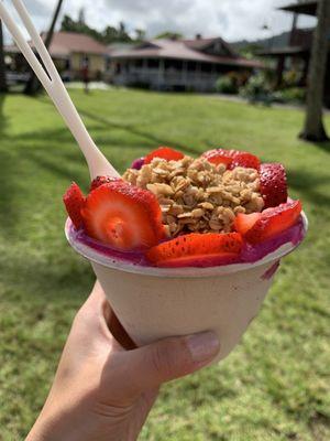 Cleanse bowl