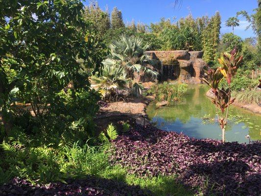 Enjoy our beautiful water features and koi ponds as you learn about Kauai's history and culture through plants.