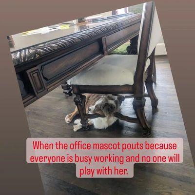 Sterling Real Estate SW DFW