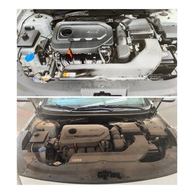 Engine Wash and Shine