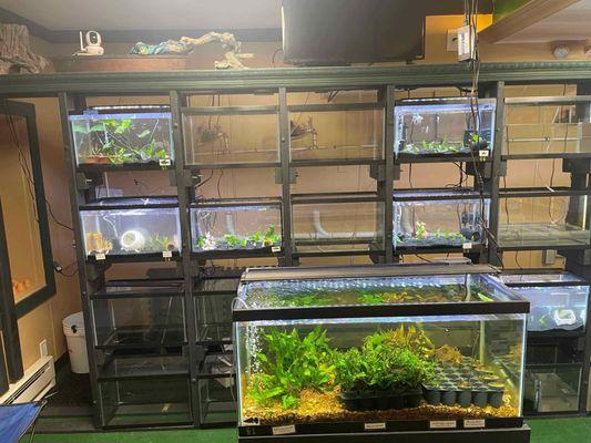 The super cool inside!