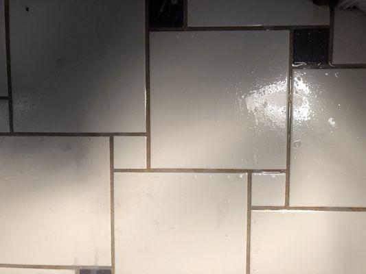 Tile and Grout before cleaning...