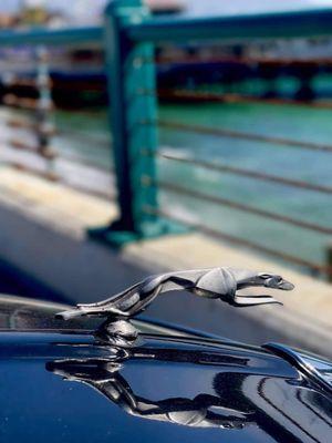 I love seeing the reflection of my hood ornament when the car is shiny clean