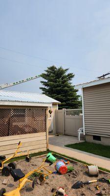 Dayley Tree Trimming & Removal