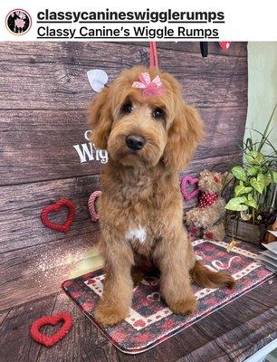 Valentines sPAW Day Cutie!